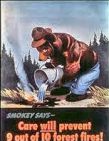 Smokey the Bear Says 9 out of 10 fires can be prevented through care