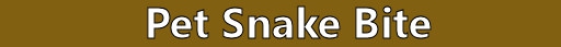 PracticeSurvival.com Pets Survival - The value of trained dogs