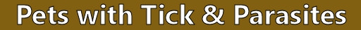 PracticeSurvival.com Pets Survival - The value of trained dogs