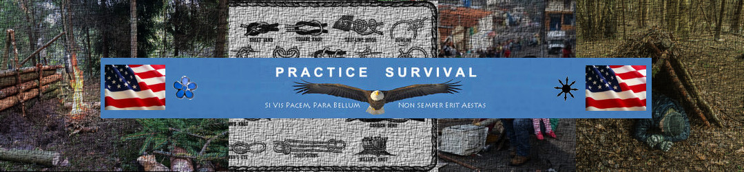 Practice Survival